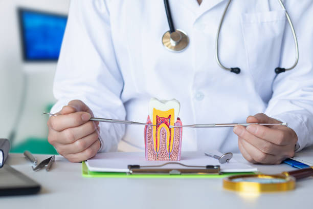 Best Emergency Dental Care for Broken or Chipped Teeth in Mustang, OK